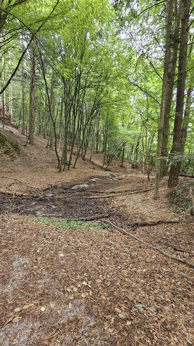 Nowy domek Roztocze/Krasnobród WOLNE TERMINY