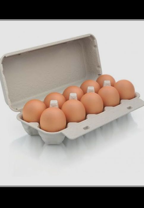 Jajka świerze od kur z wolnego wybiegu