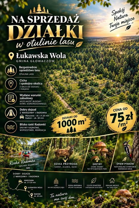 Działka z Warunkami zabudowy z drzewami - Widok 4