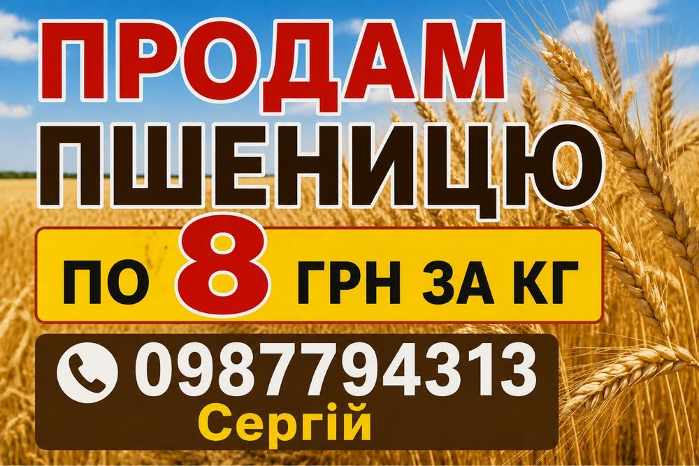 Продам пшеницю перечищену