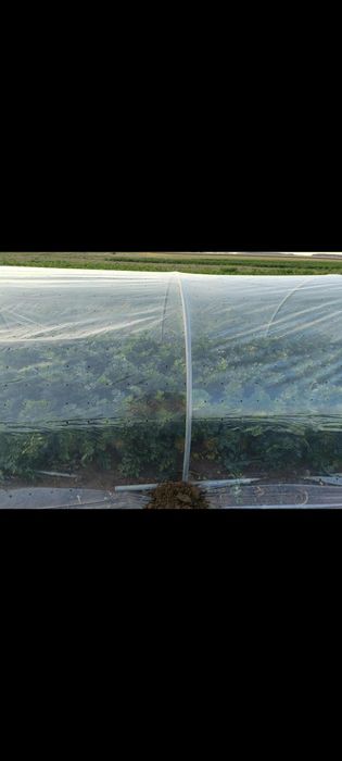 Tunel foliowy pałąki ramki budki