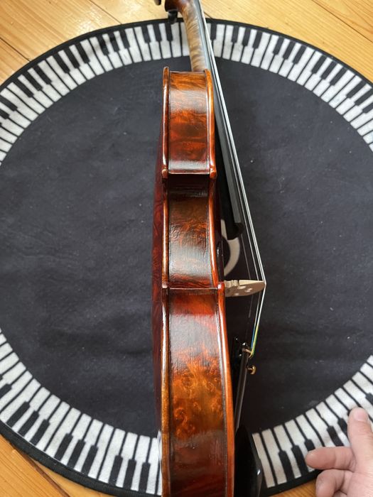 Скрипка пташине око