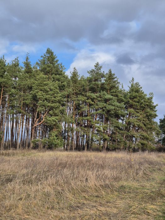 Продається дача в кооперативів Вільшанка