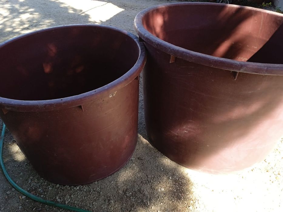 Utensílios para fazer vinho