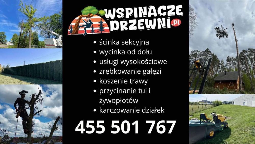 Wycinka drzew trudnych, niebezpiecznych