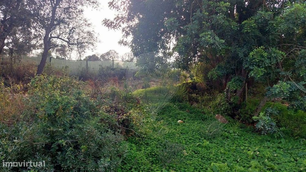 Terreno  para venda — Conceição E Estoi, Faro