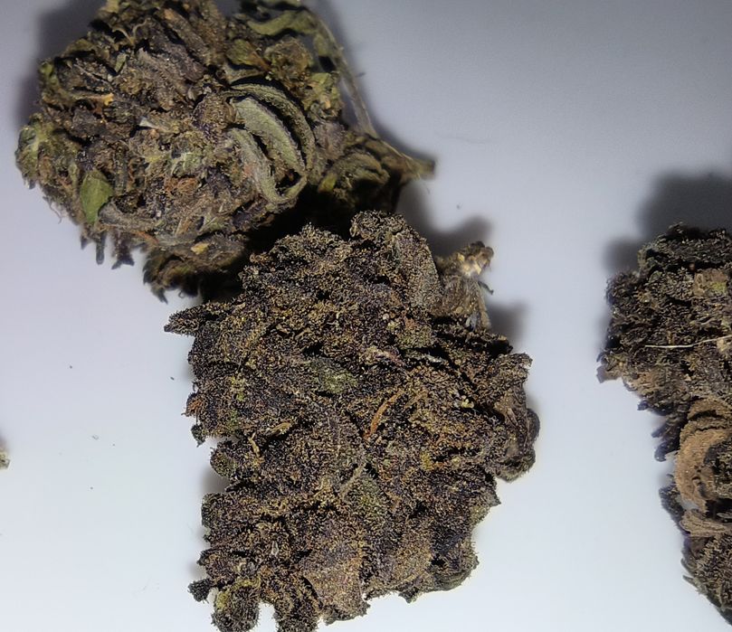 Legalny susz CBD BlueBerry 6.10% NATURALNY 1kg