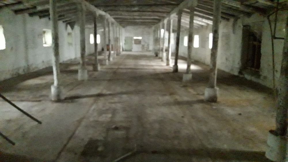 Ферма (фермерское хозяйство)