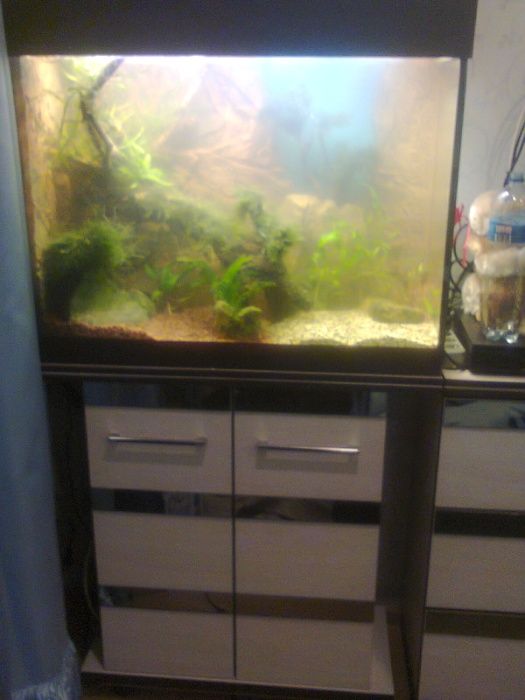 Аквариум, террариум бу 20 - 200 литров с гарантией, ремонт