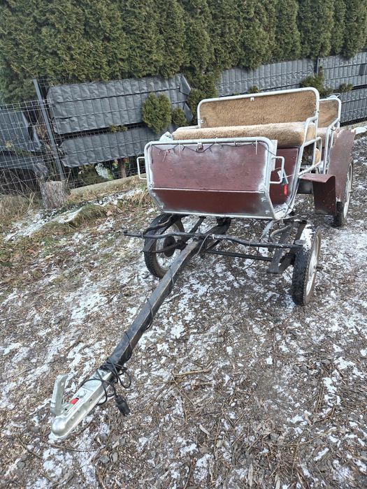 Bryczka lekka z hamulcem