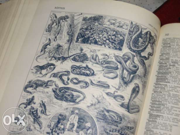 2384 - Enciclopédia " Lello Universal " 2 volumer