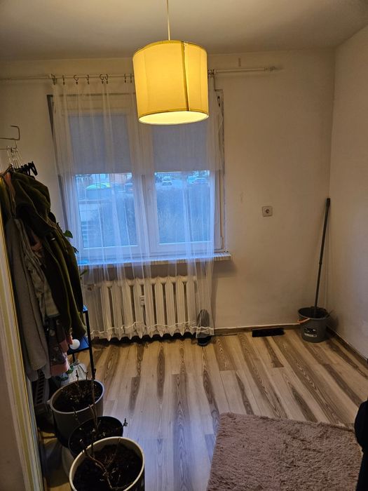 Zdjęcie 6