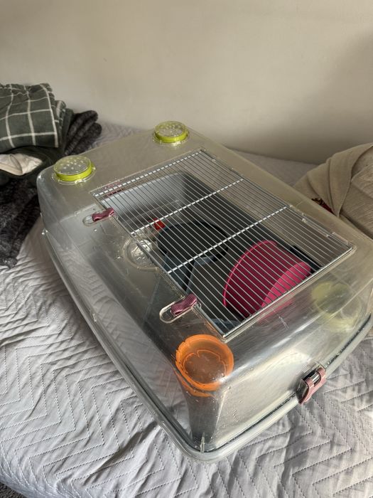 Gaiola para roedores