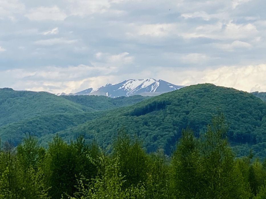 ЖК «Сонячний квартал» подобово/довгостроково