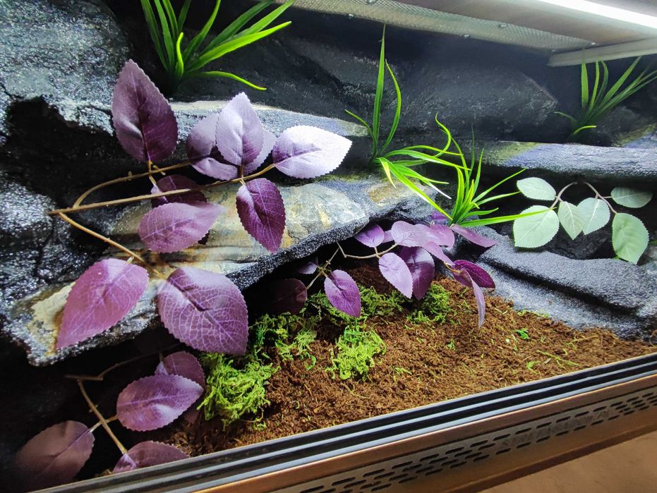 Terrarium tropikalne nr699 80/40/40 dla węża boa pyton NA ZAMÓWIENIE