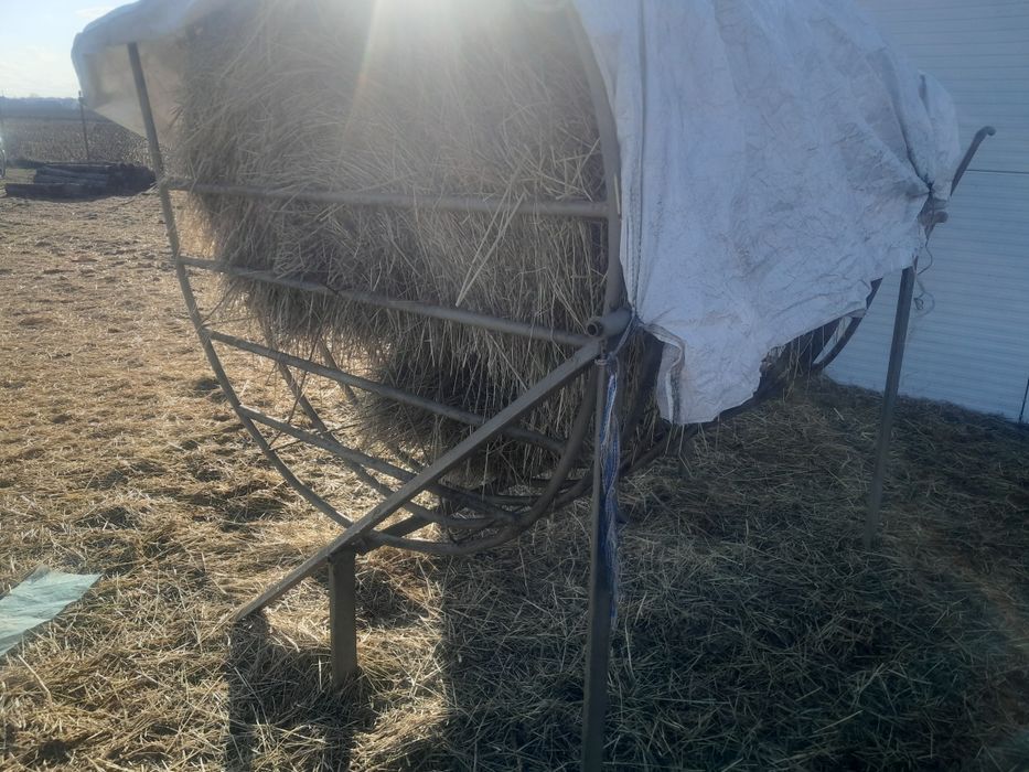 Pasnik karmidlo dla owiec koz bydla