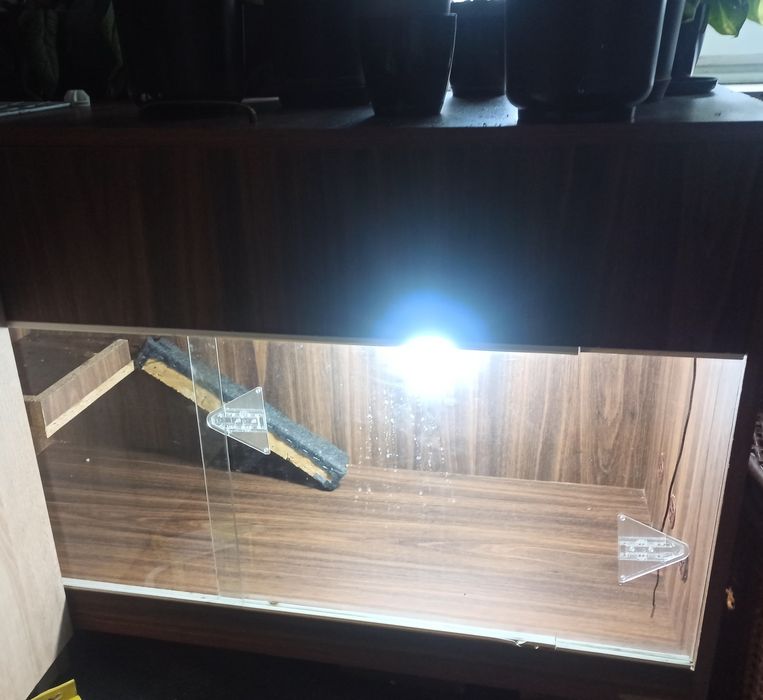 Terrarium termostat jeż wąż jaszczurka gad