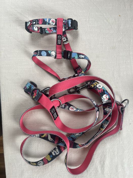 Zestaw smycz plus szelki John Dog