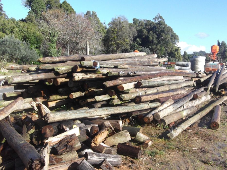 Postes de Madeira64186448942339123