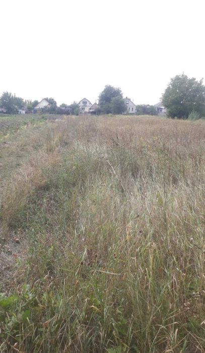 земельный участок сельхозназначения  в с. лысянка