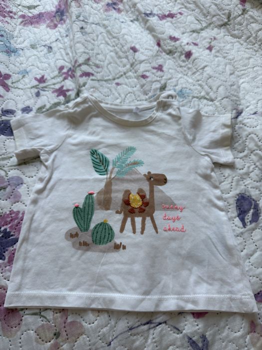 3pack tshirt krotki rekaw