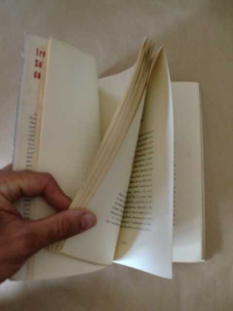 Três Ensaios Sobre a Teoria da Sexualidade
de S. Freud