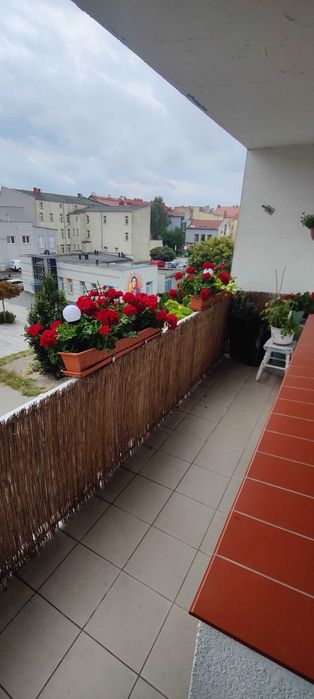 Mieszkanie – Szczecinek - Więcej
