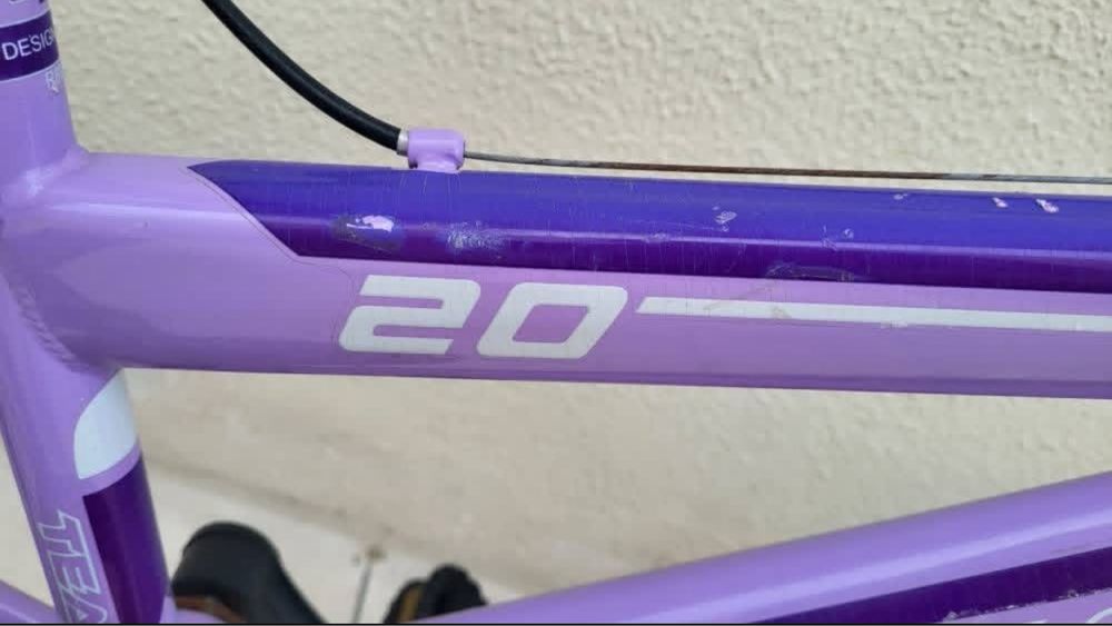 Bicicleta rida numero 20
