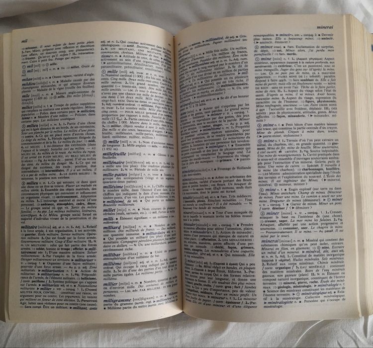 Dicionário Le Micro-Robert – Langue Française Plus – 1988