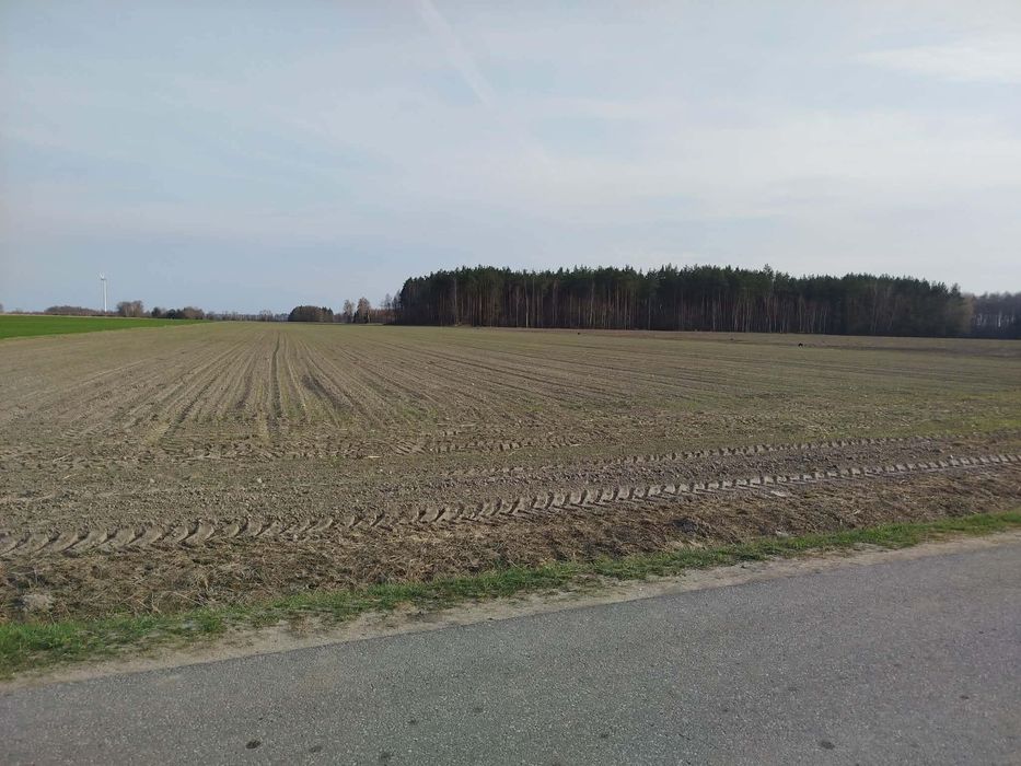 Zdjęcie 8