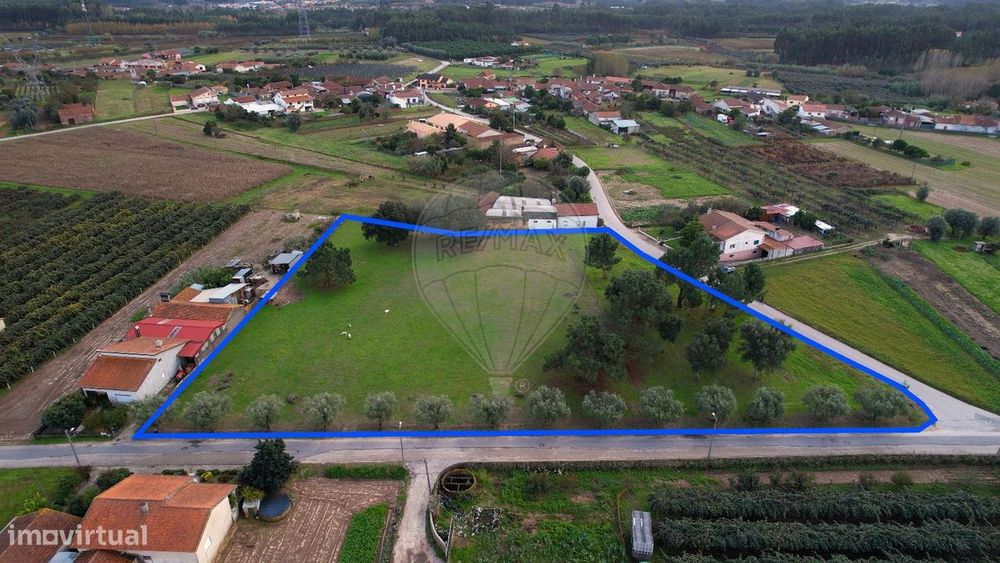 Terreno  para venda — S. Lourenço Do Bairro, Aveiro
