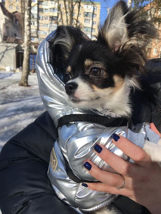комбінезон зимовий для цуценя