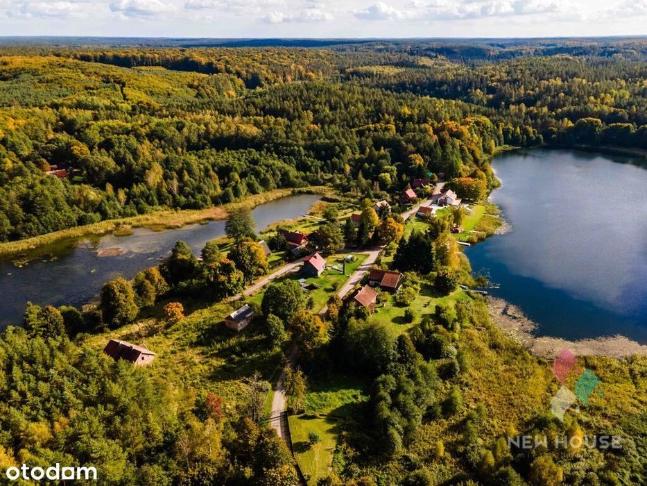 Dłużki, siedlisko nad jez. Dłużek