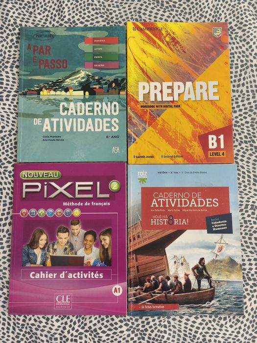 Cadernos de atividades 8°ano