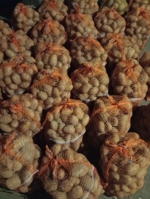 Sprzedam ziemniaki jadalne odmiana Soraya