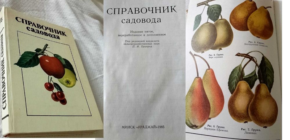 Азбука садовода. Справочник садовода. Советы овощеводам-любителям