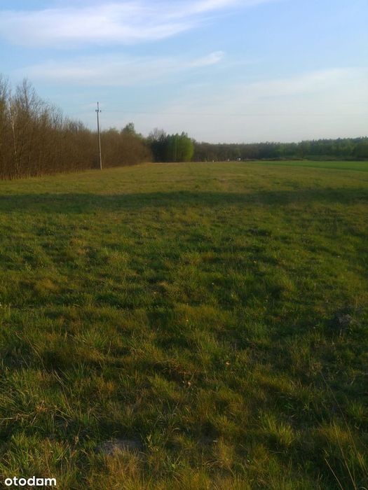 Sprzedam Działkę 11 608 m² z WZ ! pod lasem.