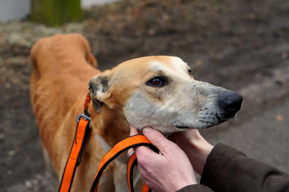Zjawiskowy młody Julian do pokochania!