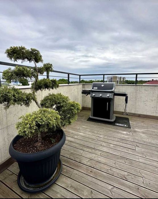 Будинок за адресою вул. Львівська (площа 301 м²) - Atlanta.ua - фото 2