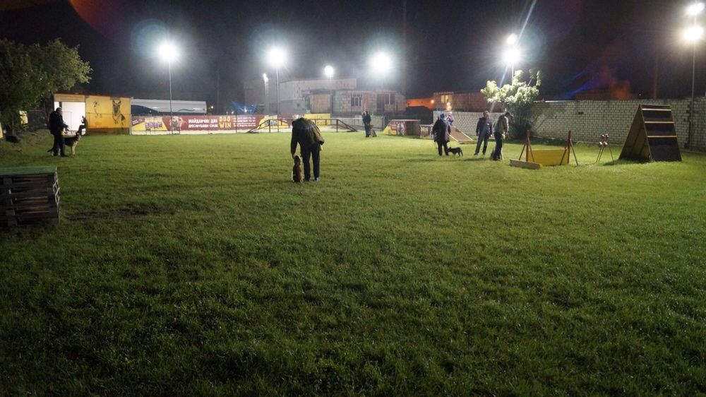 Клуб DogWin Площадка закрытая оборудованая Киев Дрессировка собак