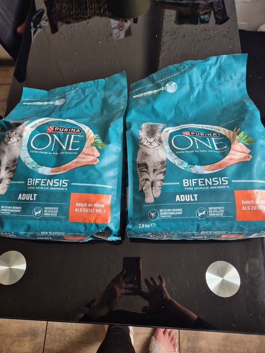 Purina ONE dla dorosłego kota