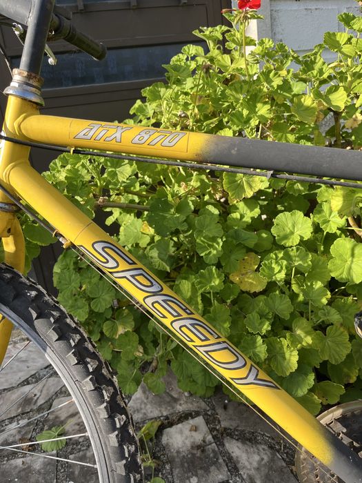 Bicicleta desportiva unisexo - estilo moderno