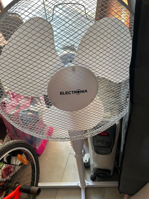 Ventoinha de pé branco