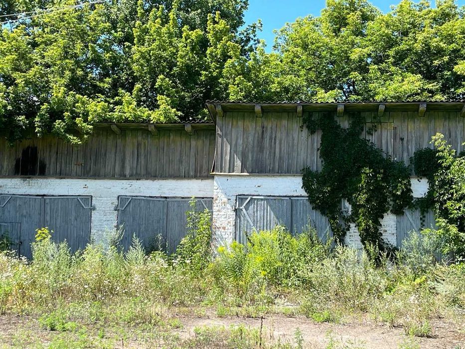 Оренда об’єктів нерухомості з високим логістичним потенціалом у м. Носівка