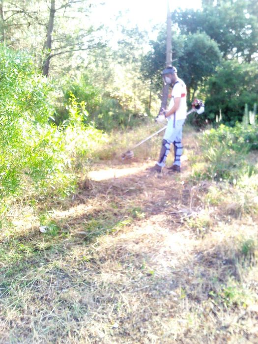 Corte arvores caídas com motoserra e limpeza de terrenos e quintais