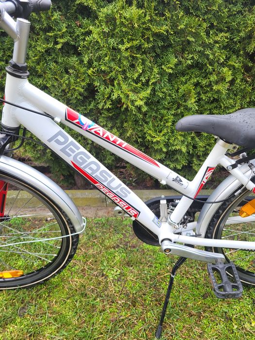 Rower Pegasus AVANTI dzieciecy 24 "