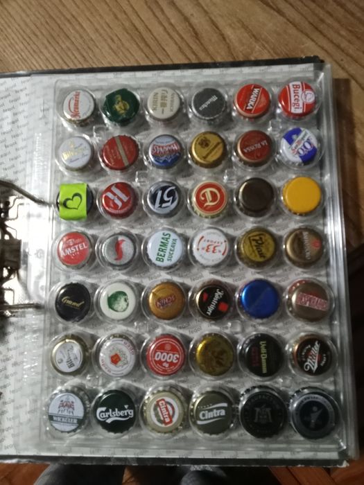 Lote de diversas sameiras