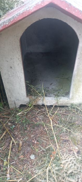 Casota para cão de porte grande