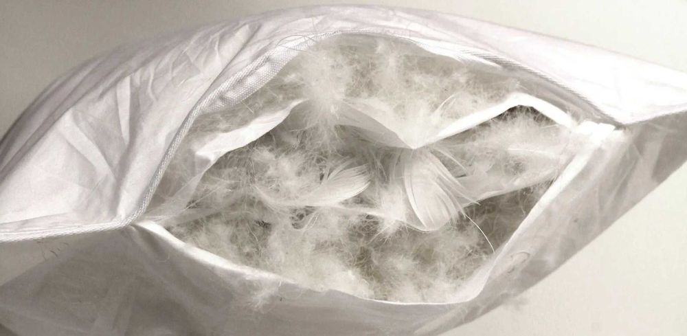 Naturalna Poduszka 50x60 Pierza 100% Bawełniany Wsyp Produkcja Polska