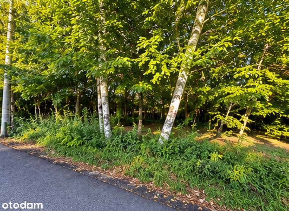 Działka budowlana 1005 m² | Łazy | MPZP | media | asfalt